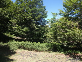 Rifugio Timparossa